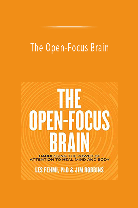 The Open–Focus Brain: Harnessing the Power of Attention to Heal Mind and Body