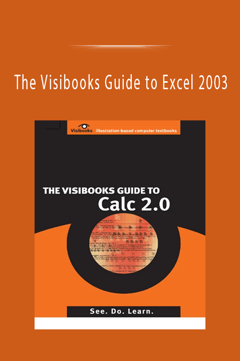 The Visibooks Guide to Excel 2003