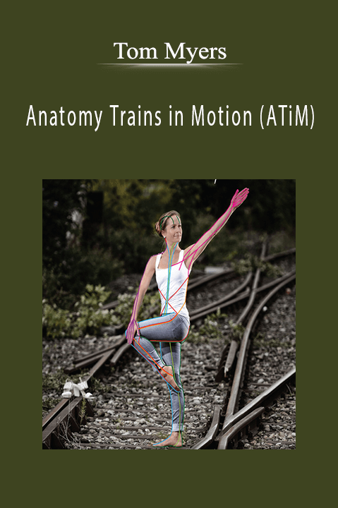 Anatomy Trains in Motion (ATiM) – Tom Myers