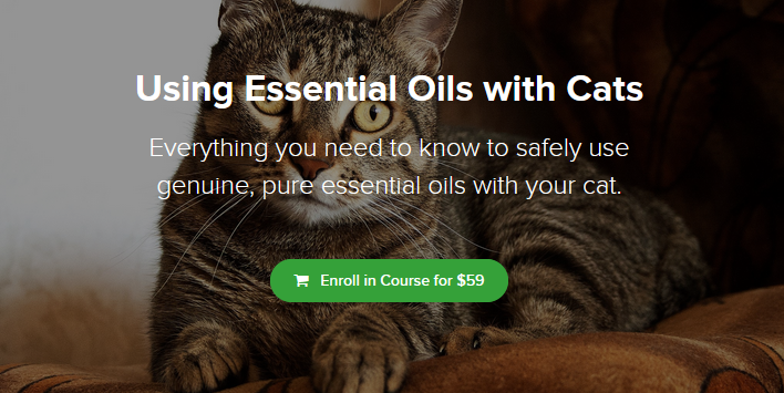 Barb Fox DVM - Using Essential Oils with Cats