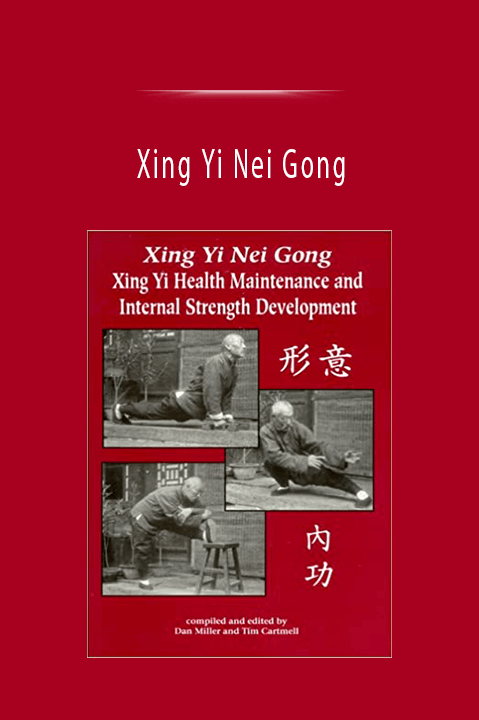 Xing Yi Nei Gong