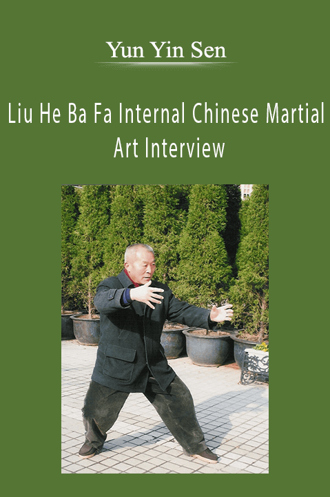 Liu He Ba Fa Internal Chinese Martial Art Interview – Yun Yin Sen