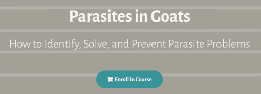 Deborah Niemann - Parasites in Goats