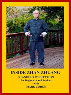 Inside Zhan Zhuang - Mark Cohen