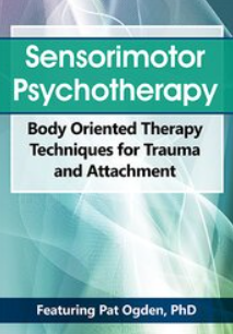 Pat Ogden - Sensorimotor Psychotherapy. Body Oriented Therapy Techniques for Trauma and Attachment