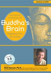 Rick Hanson - Buddha's Brain. The Practical Neuroscience of Happiness, Love and Wisdom