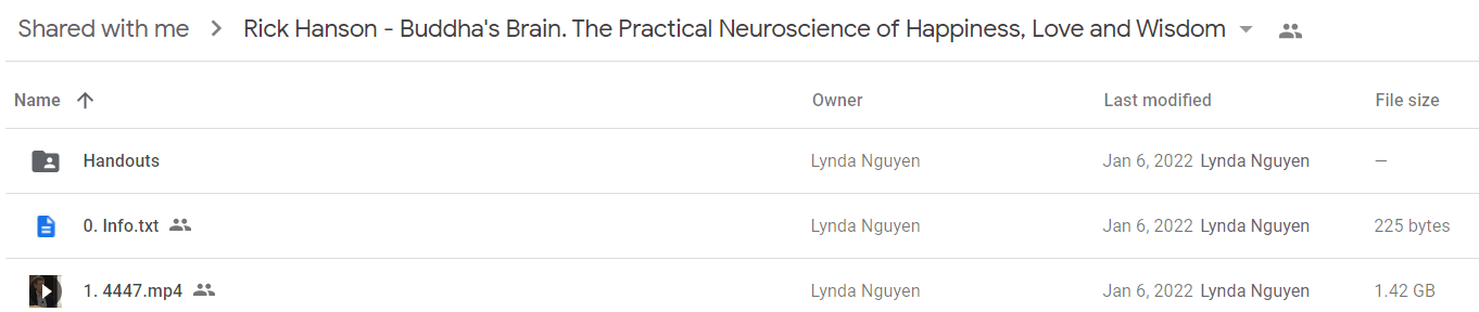 Rick Hanson - Buddha's Brain. The Practical Neuroscience of Happiness, Love and Wisdom