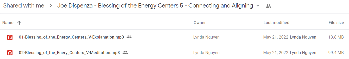 Joe Dispenza - Blessing of the Energy Centers 5 - Connecting and Aligning