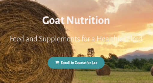 Deborah Niemann - Goat Nutrition