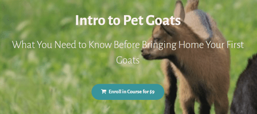 Deborah Niemann - Intro to Pet Goats