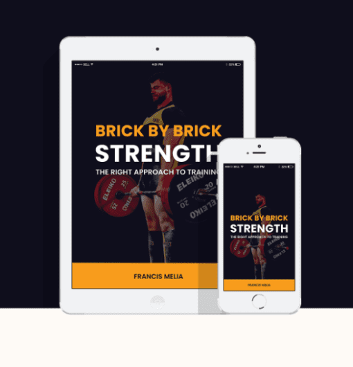 Francis Melia - Brick By Brick Strength