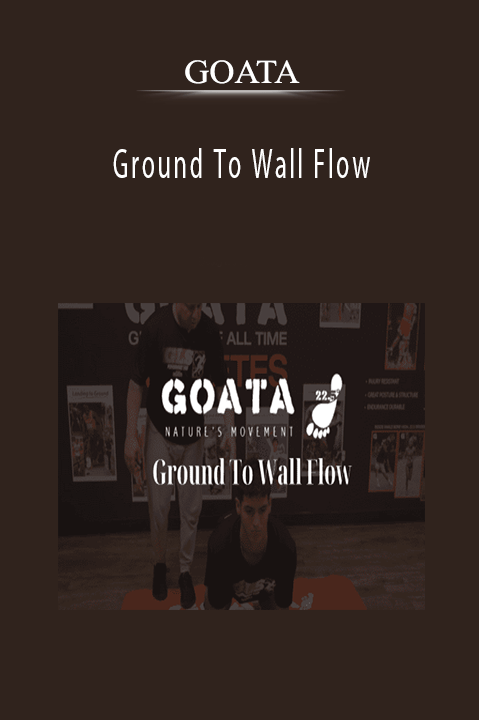 GOATA - Ground To Wall Flow