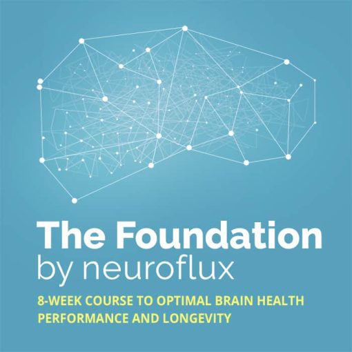 Neuroflux - The Foundation