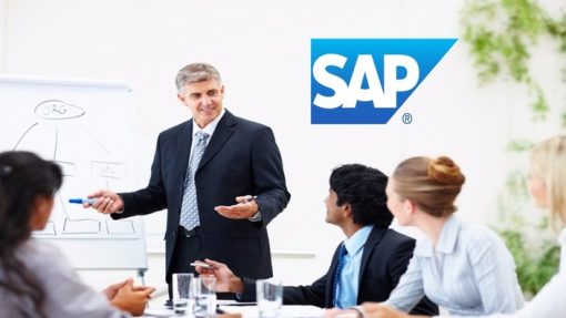 Success Learner - How to become a successful SAP Project Manager 2022