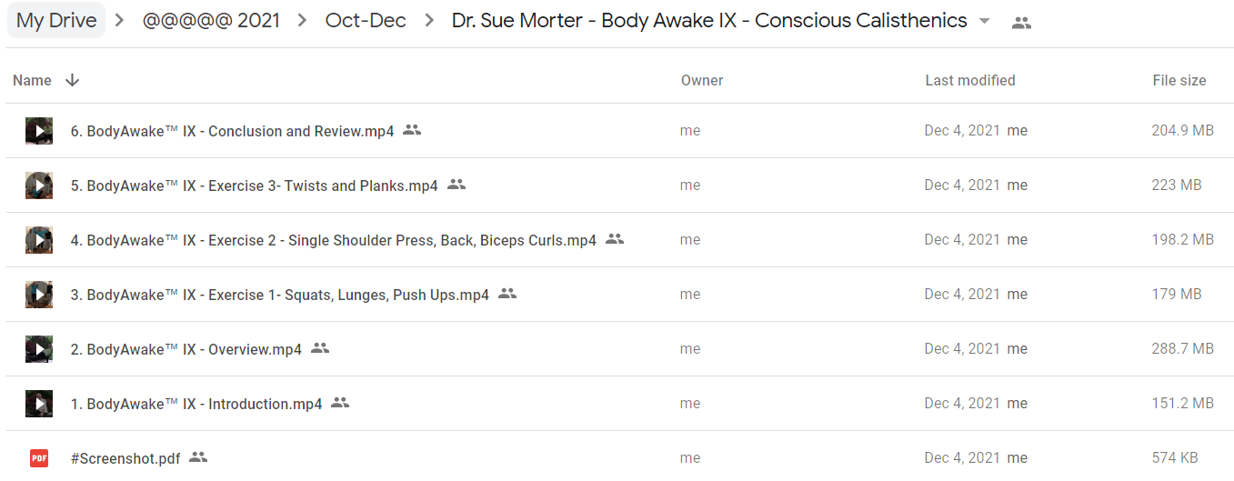 Sue Morter - BA9-DIG BodyAwake IX Digital - Conscious Calisthenics